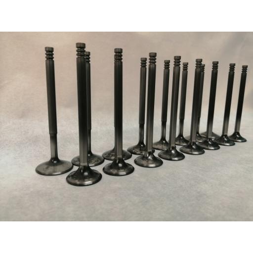 XE 1pc Race valves (Std size) set of 16