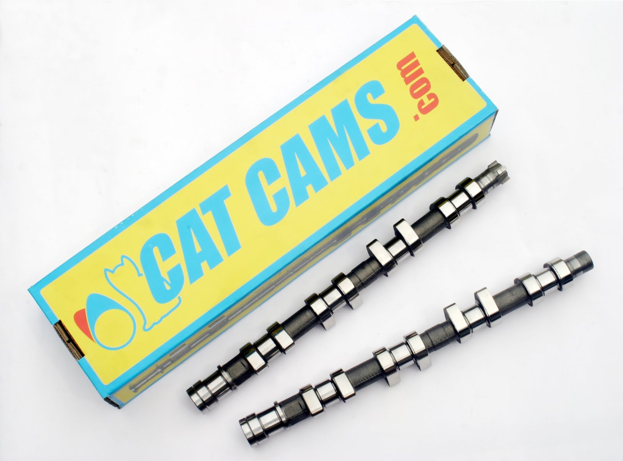 Cat-Cams.jpg